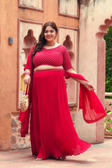 Plus Size Rubious Rani Embroidered Lehenga Choli with Dupatta